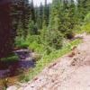 Dirt Doe Creek before.jpg