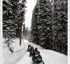 snowmobile.jpg